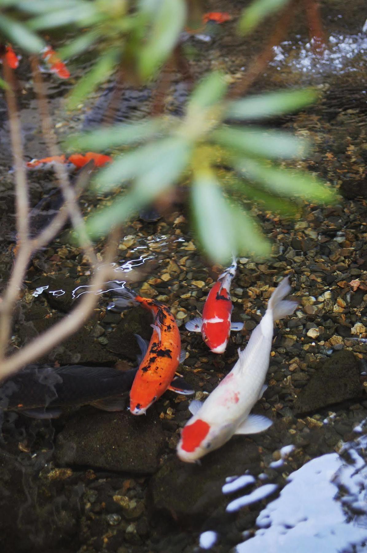 Senjukaku Hotel Yamanouchi  Buitenkant foto